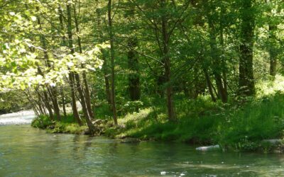 Ouverture des jardins privés au public ! Samedi 3 Juin 2023